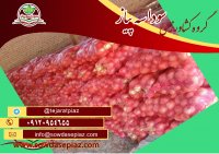 فروش عمده انواع پیاز زرد و قرمز در دزفول در گروه خرید فروش عمده سایر محصولات زراعی سر زمین در یکمیوه
