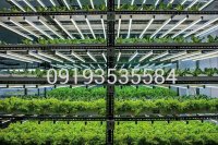 دستگاه کشت سبزیجات هیدروپونیک در تهران در گروه خرید فروش تجهیزات گلخانه - صنعتی خانگی هوشمند دست دوم در یکمیوه