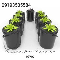 سیستم کشت سطلی هیدروپونیک rdwc در تهران در گروه خرید فروش تجهیزات گلخانه - صنعتی خانگی هوشمند دست دوم در یکمیوه