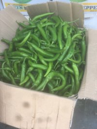 فروش فلفل تند سبز و قرمز صادراتی در پیشوا در گروه خرید فروش عمده فلفل - تند شیرین قرمز سیاه سبز سفید در یکمیوه