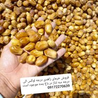 فروش خرمای زاهدی سال 1400 در پارس آباد