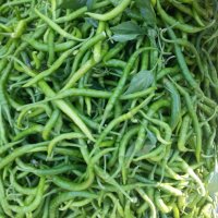 فلفل سوزنی تند و شیرین در تهران در گروه خرید فروش عمده فلفل - تند شیرین قرمز سیاه سبز سفید در یکمیوه