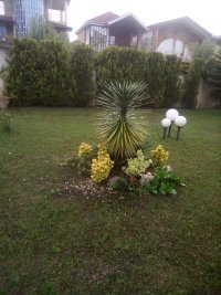 کلیه کارباغبانی وفضای سبز در مازندران در گروه سایر خدمات - حوزه محصولات کشاورزی و دامپروری در یکمیوه