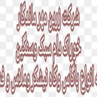 فروش کاه نیشکر ملاس و فشنگی در امین شهر در گروه گاو و گوسفند و میش و بز کهره گوساله سمینتال در یکمیوه