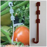 فروش قلاب عصایی بوته در تهران در گروه خرید فروش عمده سایر محصولات گلخانه ای در یکمیوه