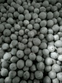 آگهی مشابه بذرپالم پیندو درخت نایاب در همدان در گروه خرید فروش بذر - انواع محصول کشاورزی گوجه کتان میوه درخت در یکمیوه