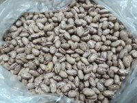 لوبیا چیتی اعلا در قزوین در گروه خرید فروش عمده غلات و حبوبات - لپه عدس نخود لوبیا در یکمیوه