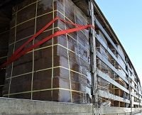 فروش کوکوپیت سریلانکا در هشتگرد در گروه خرید فروش عمده توت فرنگی - کشت محصولات گلخانه ای در یکمیوه