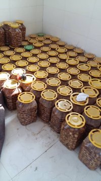 آگهی مشابه یک تن سیر ترشی یکساله خانگی در تهران در گروه محصولات ترشی - گل کلم مخلوط لیته هفت بیجار در یکمیوه