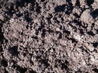 خاک باغچه پودری گیلان    در لاهیجان در گروه سایر محصولات خاک و تغذیه و نهال در یکمیوه