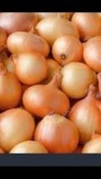 فروش پیاز در اسفراین در گروه خرید فروش عمده پیاز - قرمز سفید زرد ترشی تازه انباری در یکمیوه