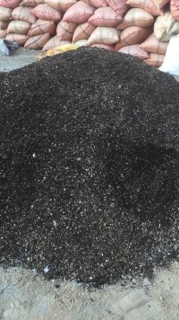 آگهی مشابه تولید و عرضه خاک در شهریار در گروه سایر محصولات خاک و تغذیه و نهال در یکمیوه