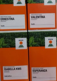 پخش عمده بذر چغندرقند KWS در کرمانشاه در گروه خرید فروش عمده سایر محصولات زراعی سر زمین در یکمیوه