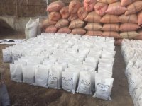 آگهی مشابه فروش خاک برگ و خاک کاکتوس غنی شده در شهریار در گروه سایر محصولات خاک و تغذیه و نهال در یکمیوه