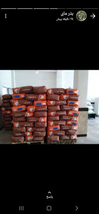 بذر پنبه مای 2021 در اصلاندوز در گروه سایر محصولات فرنگی فروش عمده در یکمیوه