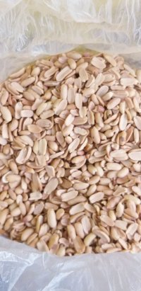 بادام کره گیری در آستانه اشرفیه در گروه خرید فروش عمده دانه های روغنی - کلزا خردل آفتابگردان بادام کنجد سویا در یکمیوه