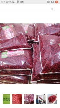 زرشک دانه اناری ممتاز در بیرجند در گروه خرید فروش عمده ازگیل و تمشک و زرشک - ژاپنی فروش مستقیم در یکمیوه