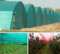 توری های سبز گلخانه ای در برازجان در گروه خرید فروش تجهیزات گلخانه - صنعتی خانگی هوشمند دست دوم در یکمیوه