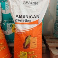 فروش بذر انواع صیفی جات در اصفهان در گروه خرید فروش بذر - انواع محصول کشاورزی گوجه کتان میوه درخت در یکمیوه