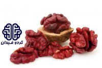 نهالستان گردو فیدان در ارومیه در گروه خرید فروش نهال - انواع گردو پسته بادام سلطانی انگور در یکمیوه