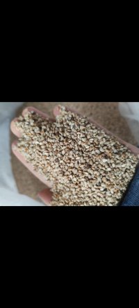 فروش عمده کنجد پاکستانی در اصفهان در گروه خرید فروش عمده دانه های روغنی - کلزا خردل آفتابگردان بادام کنجد سویا در یکمیوه