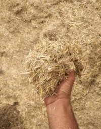 فروش یونجه و پرس کلش در اصفهان در گروه تجهیزات دام و طیور - خرید فروش نو دسته دوم در یکمیوه