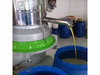 فروش روغن زیتون در رودبار در گروه انواع روغن - آفتابگردان کنجد سویا در یکمیوه