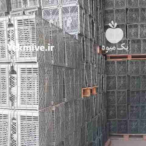 فروش سبد سیب 12 کیلویی و سبد میوه در بابل در گروه خرید فروش انواع سبد - میوه پلاستیکی چوبی گل در یکمیوه -عکس1