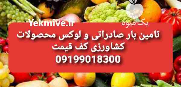 تامین بار صادراتی بارفروشی تره بار در گروه واردات و صادرات در یکمیوه -عکس1