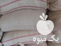 فروش جو دیم و نخود در بیستون در گروه خرید فروش عمده گندم و جو - بلغور شیرازی فروش عمده محصول کشاورزی در یکمیوه -عکس1