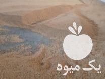 فروش سویا تمیز درجه یک در بجنورد در گروه خرید فروش عمده سویا - خوراکی تیم اسپانیول روغن در یکمیوه -عکس1