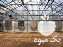فروش فن هواکش 140 و 100 مخصوص مرغداری و گلخانه در همدان در گروه خرید فروش عمده انواع گل - پروش قاشقی موسی ساکولنت بن سای در یکمیوه -عکس1