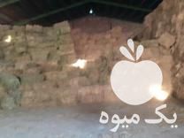 فروش سویا کاه پرس شده ارسال برای دامداری ها در هشتگرد در گروه خوراک دام و طیور - پرواری شیری علوفه یونجه در یکمیوه -عکس1
