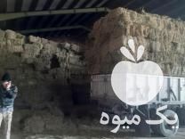 فروش مغان یونجه در هشتگرد در گروه خوراک دام و طیور - پرواری شیری علوفه یونجه در یکمیوه -عکس1
