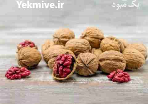 فروش تضمینی نهال گردو تو سرخ مستقیم از نهالستان در تهران در گروه خرید فروش نهال - انواع گردو پسته بادام سلطانی انگور در یکمیوه -عکس1