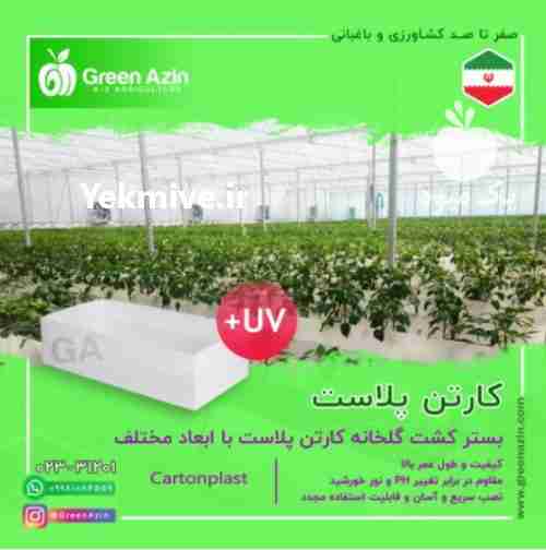 فروش بستر کشت گلخانه کارتن پلاست با ابعاد مختلف در سمنان در گروه خرید فروش انواع بسته بندی کاغذی - کارتن مقوا در یکمیوه -عکس1