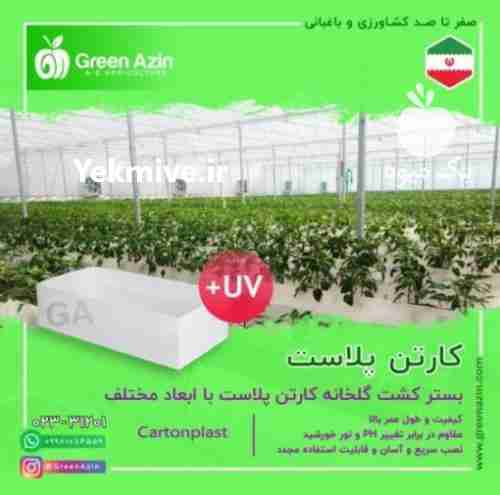 فروش عرضه کارتن پلاست جهت بستر کشت گلخانه در سمنان در گروه خرید فروش انواع بسته بندی کاغذی - کارتن مقوا در یکمیوه -عکس1