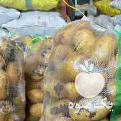 فروش سیب زمینی خوراکی در همدان در گروه خرید فروش عمده سیب زمینی - زودرس دیررس آگریا اسپریت اردبیل همدان در یکمیوه -عکس1