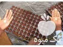 فروش خاک کوکوپیت سریلانکایی و هندی قالبی ویژه کشت گلخانه در تهران در گروه خرید فروش ماشین آلات کشاورزی - تراکتور تیلر کمباین مدرن در یکمیوه -عکس1