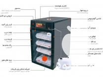 فروش درنا 2 جوجه کشی در تهران در گروه تجهیزات دام و طیور - خرید فروش نو دسته دوم در یکمیوه -عکس1