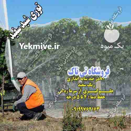 فروش توری ضد سرما ،  توری سایبان گلخانه  ،  توری شید سفید در تهران در گروه خرید فروش عمده انواع گل - پروش قاشقی موسی ساکولنت بن سای در یکمیوه -عکس1