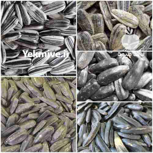 پخش تخمه امیر ، فروش انواع تخمه در تهران در گروه آجیل - فروش عمده محصولات در یکمیوه -عکس1