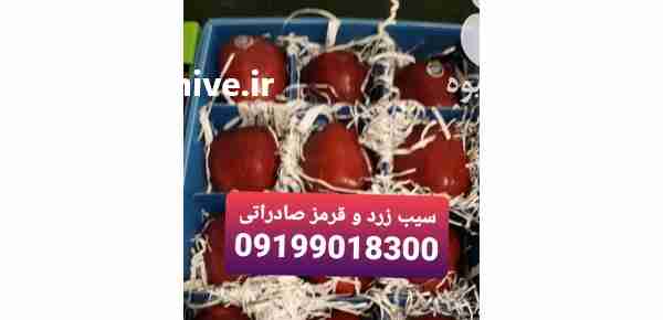 فروش سیب زرد و قرمز صادراتی در تناژ بالا قیمت رقابتی در ارومیه در گروه خرید فروش عمده سیب - زرد و قرمز گلاب پاییزه در یکمیوه -عکس1
