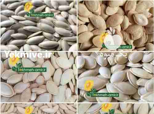 فروش فروش انواع تخمه آفتابگردان و تخمه کدو  در اصفهان در گروه خرید فروش عمده آفتابگردان - تخمه خوی دیم گل در یکمیوه -عکس1