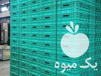 فروش سبد ماهی و میگو در رشت در گروه خرید و فروش انواع سبد در یکمیوه -عکس1