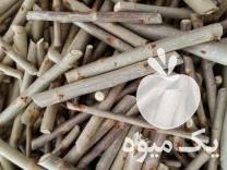 فروش قلمه صنوبر در مهاباد در گروه انواع رب - گوجه انار نارنج خانگی سیب عمده در یکمیوه -عکس1