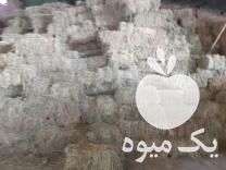 فروش سبز یونجه پارساباد مغان خشک درجه یک در میانه در گروه خوراک دام و طیور - پرواری شیری علوفه یونجه در یکمیوه -عکس1