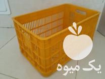 فروش سبد کیلویی مرکبات در قائم در قائم شهر در گروه خرید و فروش انواع سبد در یکمیوه -عکس1