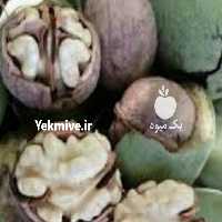 آگهی مشابه فروش گردو تازه و فندق تازه در گروه خرید فروش عمده فندق - میوه تازه خام تیره عمده فروشی در یکمیوه