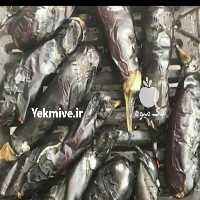 آگهی مشابه فروش بادمجان کبابی  بادمجان سرخ شده در گروه انواع سرخ شده و پخته شده - فروش عمده در یکمیوه